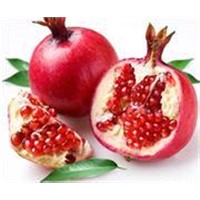 High quality Pomegranate Rind Extract, Ellagic acid 40%-90%HPLC