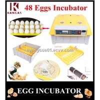 Holding 48 Eggs CE Marked Full Automatic Hatchery Machine