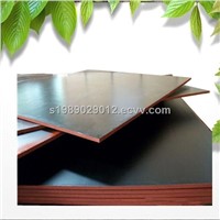 Hot sale Giga brown 18mm  film faced plywood sheet manufacturer