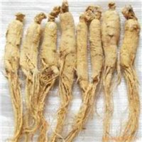 Hot sale! high quality ginseng extract