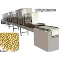 Microwave puffing equipment for bean products
