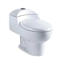 Sighonic one piece toilet,with any fittings.