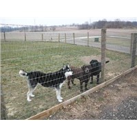 V Mesh Fence - The Safest Fence for Horses &amp;amp;amp; Dogs