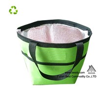 Wholesale insulated disposable cooler bag
