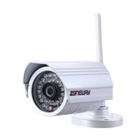 ZONEWAY ZW-NC862MIW-P Outdoor Waterproof 2.0MP CMOS Wireless IP Camera