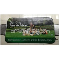 car snowshade