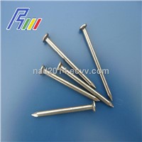 common nail iron nail factory from China