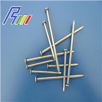 common nail with all size from China manufacture factory