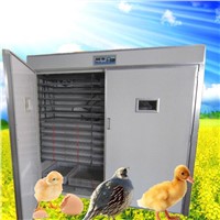egg incubation hatching/duck egg incubator for sale/5000 egg incubator