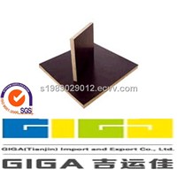 factory for sale Giga black 18mm construction plywood sheet