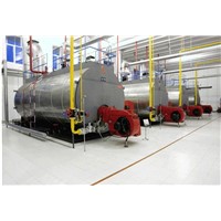 industrial coal biomass gas boiler oil fired steam boiler manufacturer
