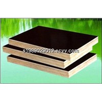 hot sale Giga black 18mm melamine film faced plywood sheet manufacturer