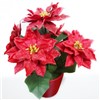 Artificial Christmas Flower with LED Lights, Nontoxic PU for House Decorations