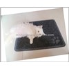 pvc pet items,pet mat,cat litter mat,pet pad cat toilet mat