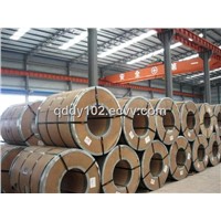 High Quality Hot Dipped Galvanized Steel Sheet/Coil