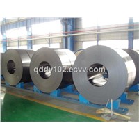 Low Price Hot Rolled Steel Coils/Steel Sheet