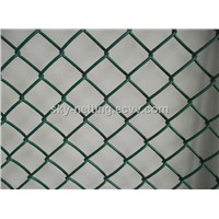 50*50mm PVC Coated Chain Link Fencing