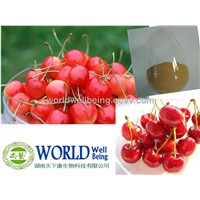 Acerola Cherry Extract Powder With 17%-25% Vitamin C