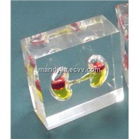 Acrylic liver shaped paperweight with liquid inside