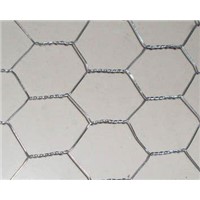 Chicken wire mesh - hexagonal wire netting for plastering