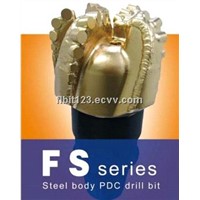 China PDC bit for oil drilling,well drilling