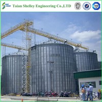 Flat bottom with 1000t-15000t capacity grain storage for sales