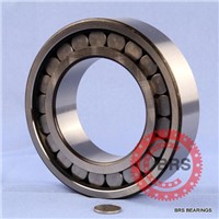 Full complement Cylindrical Roller Bearings NJ420 N1021 NF1021