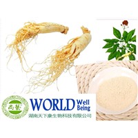 Ginseng Root Extract Powder With UV 4%-80% Ginsenoside