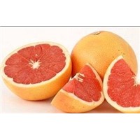 Grapefruit Extract