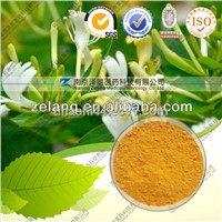 HoneySuchle Flowers Extract/Chlorogenic acid