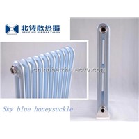 Imitator of steel and aluminium cast iron radiator BZFGTZDY300/500/600