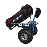 Less Cost CE approved Electric Golf Cart factory