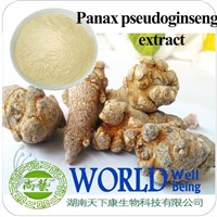 Panax pseudoginseng extract Notoginsenoside | Notoginseng saponin 50 UV