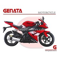 R1 Type EEC Games Motorbike (GM250YZF-R)