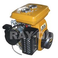 Robin type kerosene engine