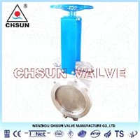 Stainless Steel Gate Valve for Water Treatment