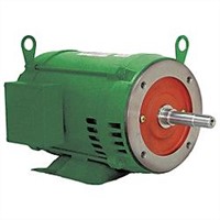 WEG Close-Coupled Pump Motor 00336OT3E145JM