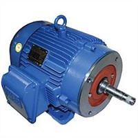 WEG Close-Coupled Pump Motor 00536OP3E182JM