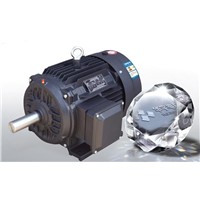 Y3 Series Three-phase Induction Motor