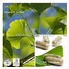 Ginkgo Biloba Leaf Extract 24% 6% 5ppm