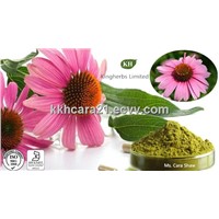 Echinacea Purpurea Extract Polyphenols 4%, 7%