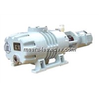 ZJ-300DV Roots Vacuum Pump with low power consumption