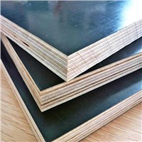 18mm poplar core black film faced plywood/shuttering plywood