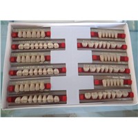 2014 Super-hard Wear-resisting 3 layer Dental Acrylic Resin Teeth