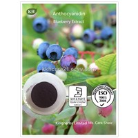 Blueberry Extract Anthocyanin 1%, 25 by UV%
