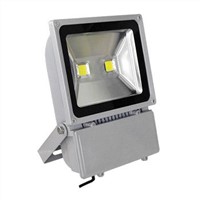 COB 100W LED Flood Lighting/Street Light/Tunnel Lamp/Outdoor Light