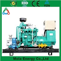 China Brand New type biogas generator with green energy