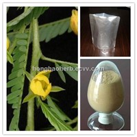 Flavone 8%-16% Cassia Nomame Extract