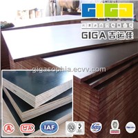 GIGA 18mm commercial waterproof plywood