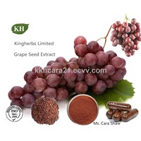 Grape Seed Extract OPC 95%, 98% Proanthocyanidins